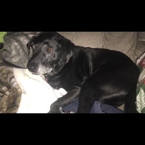 Meet your Posher, Elayna